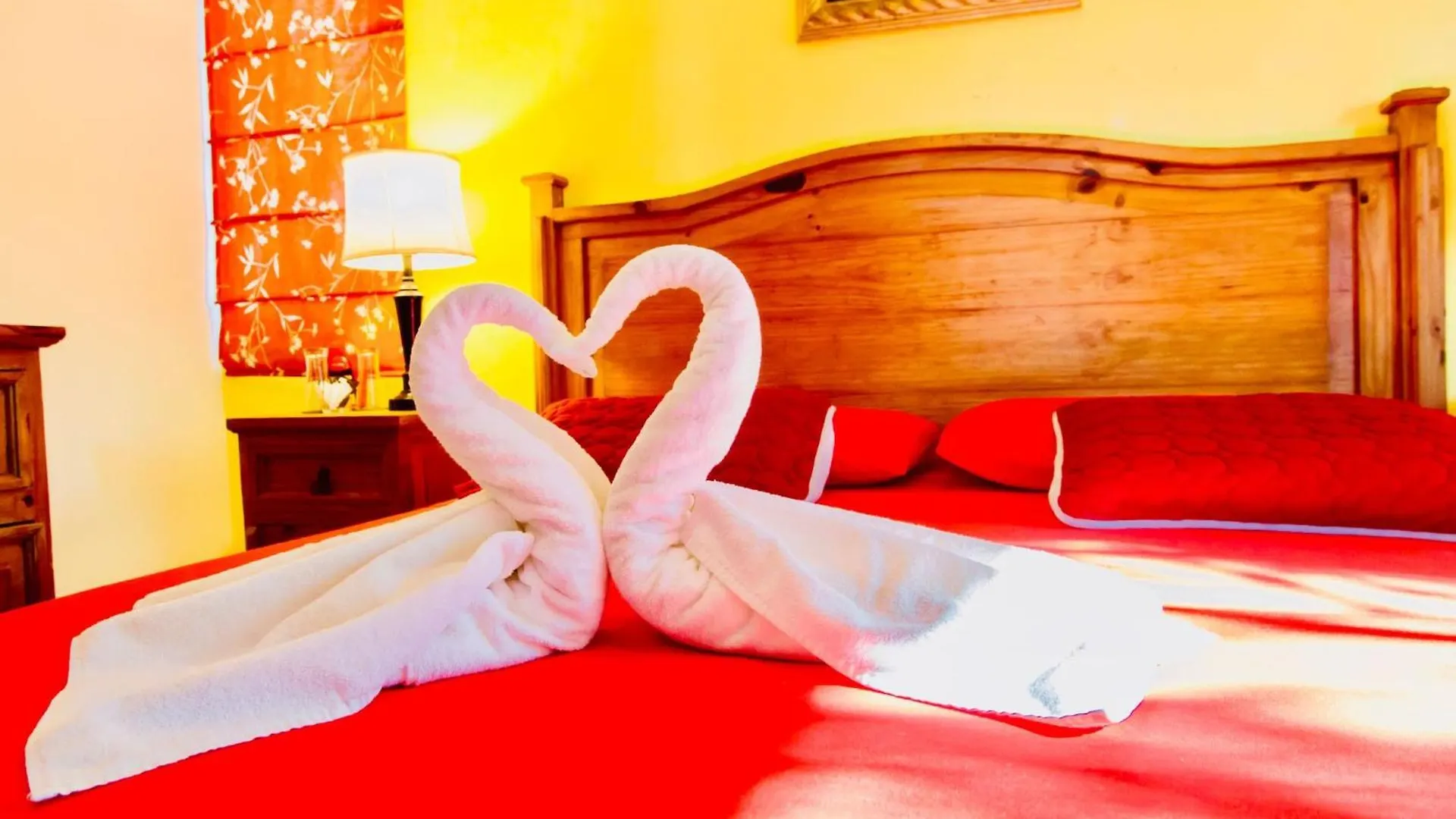 Executive Comfort Room With Swimming Pool Air Conditioning And Parking Πλάγια Ντελ Κάρμεν Μεξικό