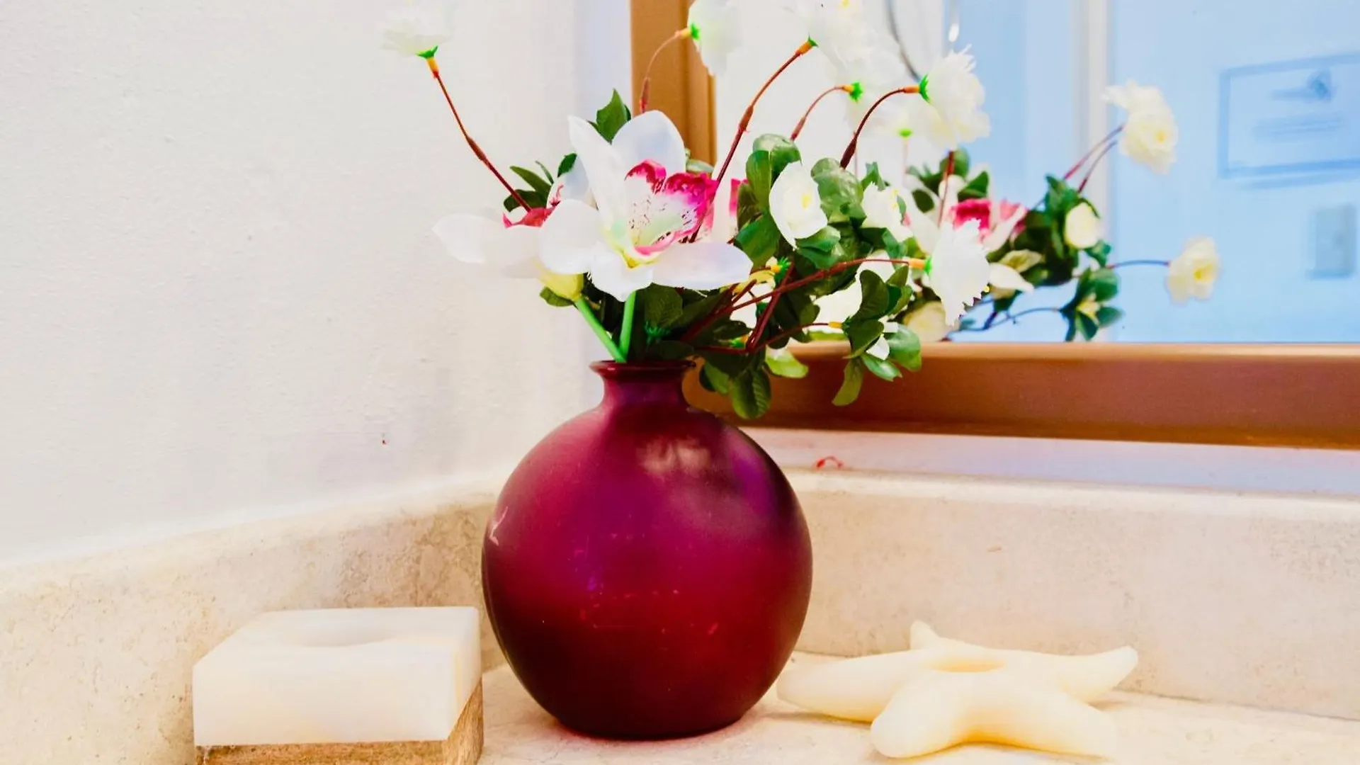 Executive Comfort Room With Swimming Pool Air Conditioning And Parking Πλάγια Ντελ Κάρμεν