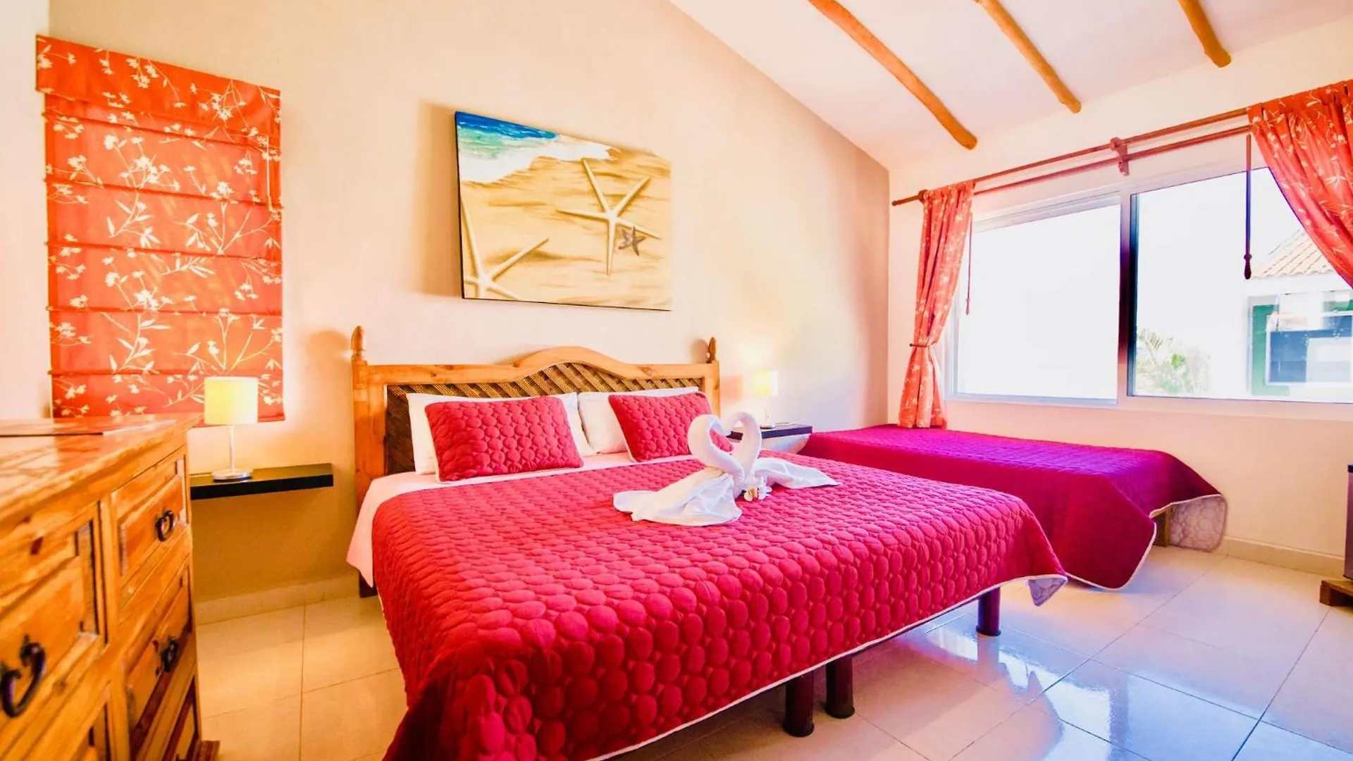 פלאייה דל כרמן Executive Comfort Room With Swimming Pool Air Conditioning And Parking פלאייה דל כרמן