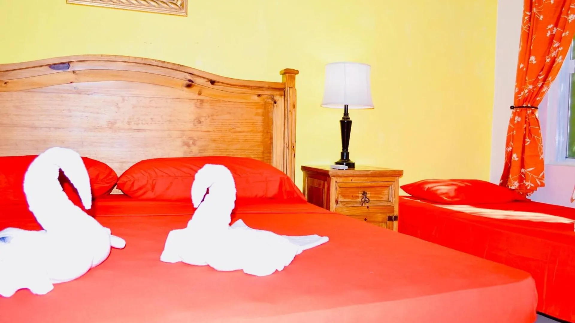פלאייה דל כרמן Executive Comfort Room With Swimming Pool Air Conditioning And Parking