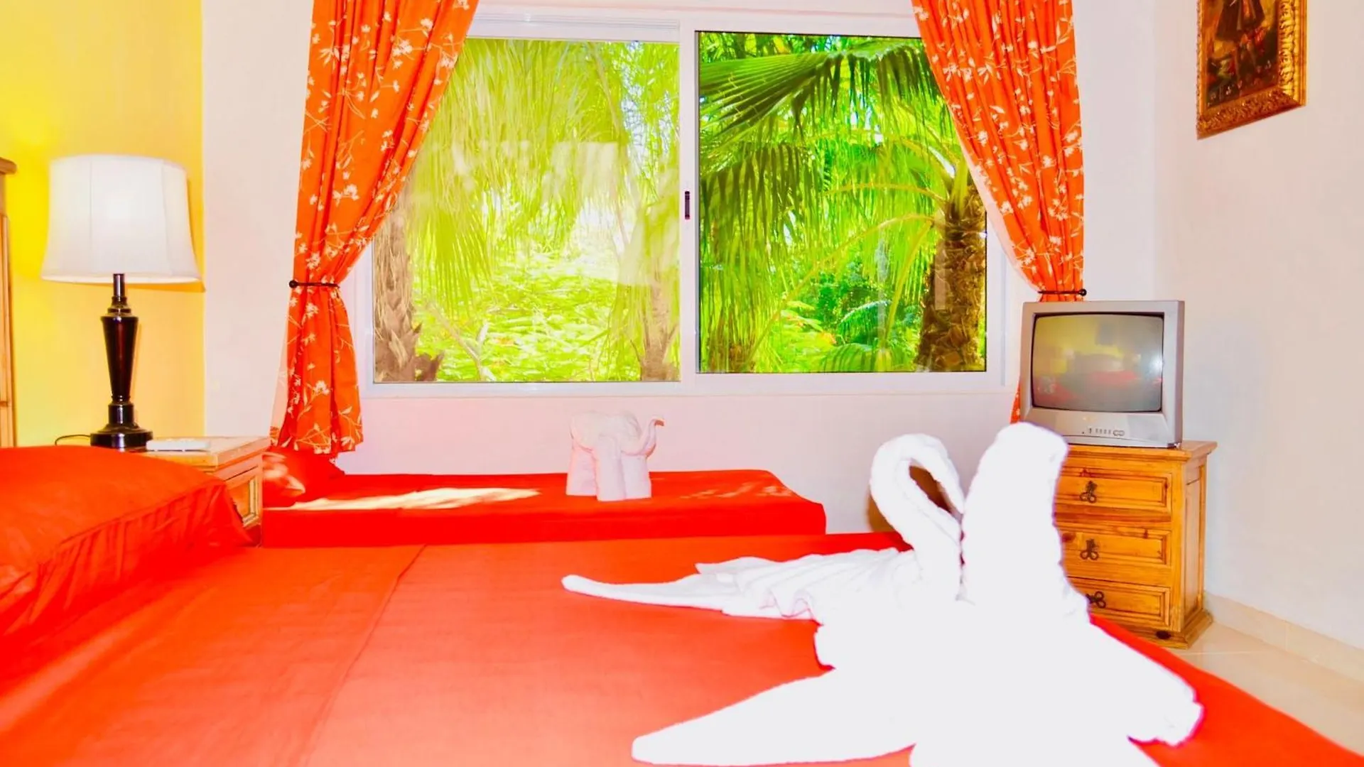 בית הארחה פלאייה דל כרמן Executive Comfort Room With Swimming Pool Air Conditioning And Parking