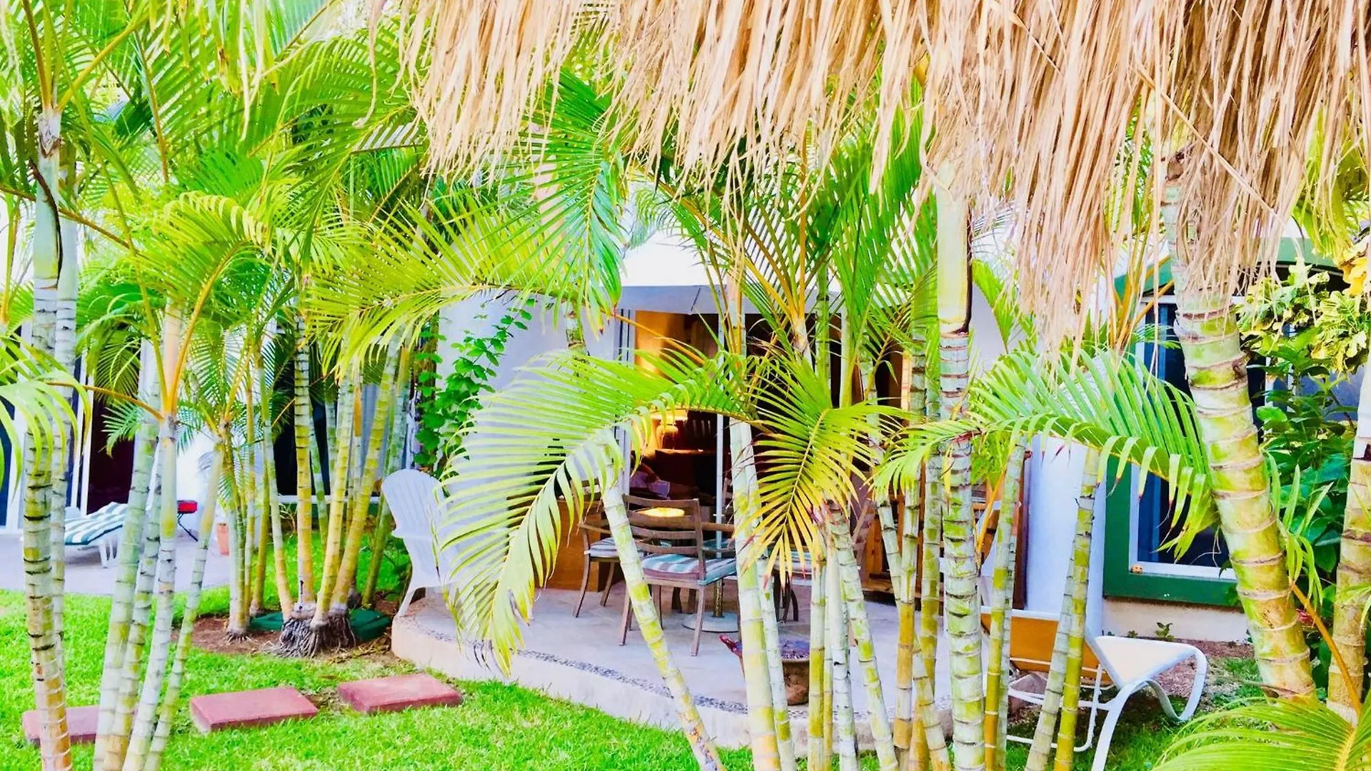 Executive Comfort Room With Swimming Pool Air Conditioning And Parking Playa del Carmen Mexico