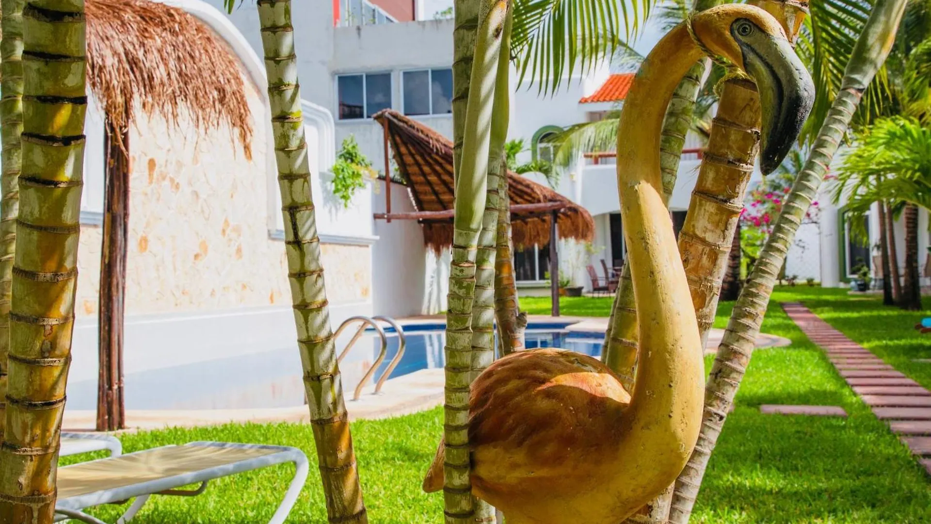 Guest house Executive Comfort Room With Swimming Pool Air Conditioning And Parking Playa del Carmen
